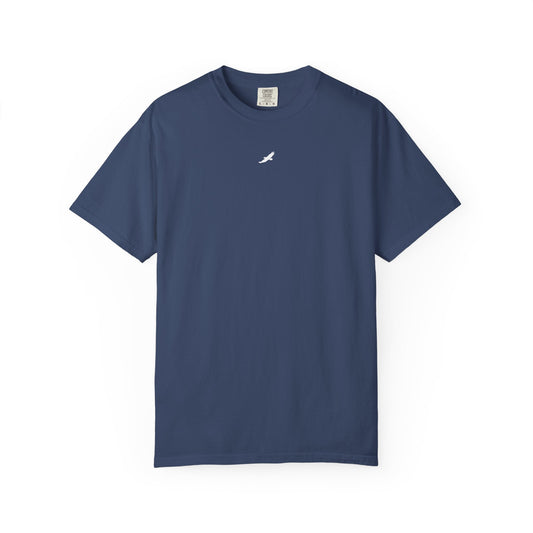 SOAR - (China Blue)